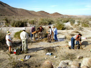 Archaeology field work