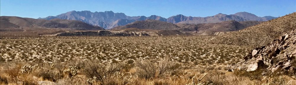 Anza Borrego Desert view