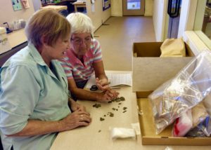 Archaeologist and CDAS volunteer working with artificacts