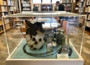 Archaeology Library Display