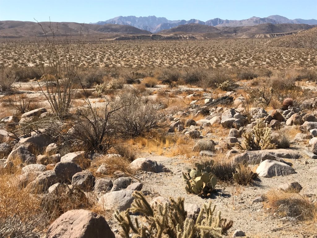 The traditional homelands of the Kumeyaay, Cahuilla, Cupeno, and Luiseno people.